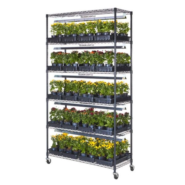 Plant Growing Stand by Diversified Spaces, MGC-4818